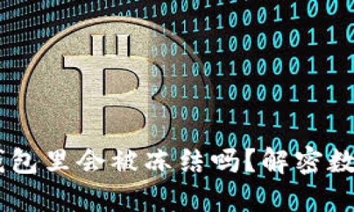 USDT放在钱包里会被冻结吗？解密数字货币安全