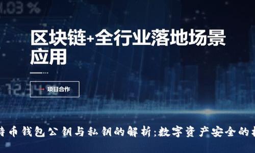 比特币钱包公钥与私钥的解析：数字资产安全的核心