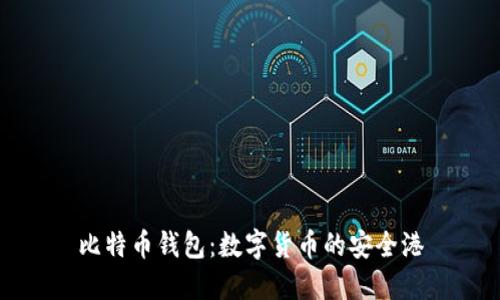 比特币钱包：数字货币的安全港