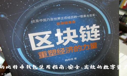 龙网的比特币钱包使用指南：安全、高效的数字资产管理