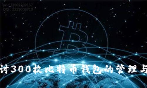 深入探讨300枚比特币钱包的管理与安全性