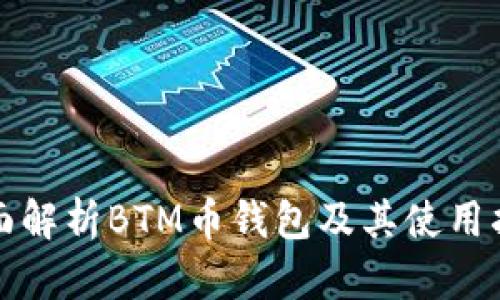 全面解析BTM币钱包及其使用指南