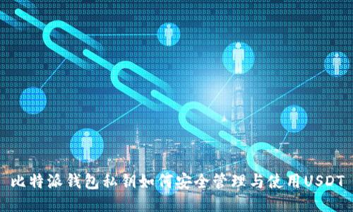 比特派钱包私钥如何安全管理与使用USDT