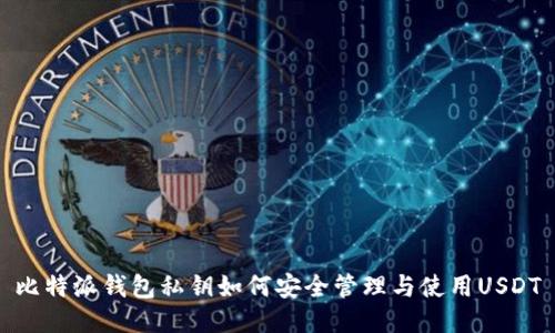 比特派钱包私钥如何安全管理与使用USDT
