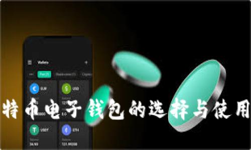 : 比特币电子钱包的选择与使用指南