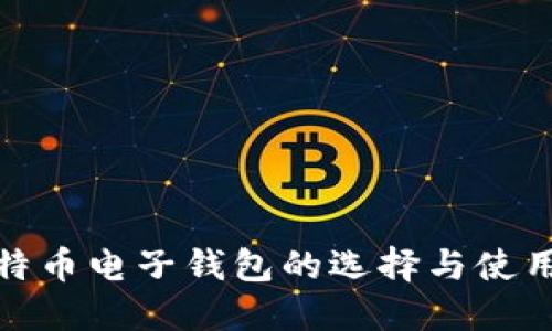 : 比特币电子钱包的选择与使用指南