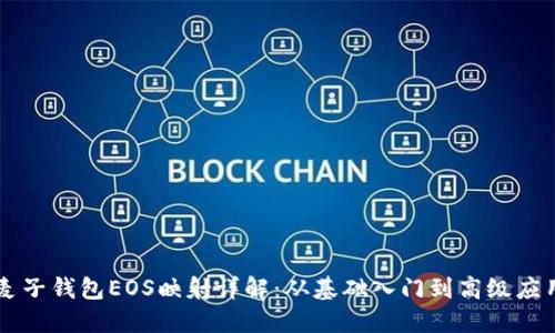 麦子钱包EOS映射详解：从基础入门到高级应用