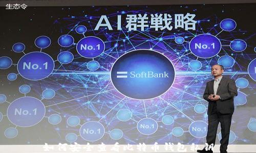 
如何安全查看比特币钱包私钥