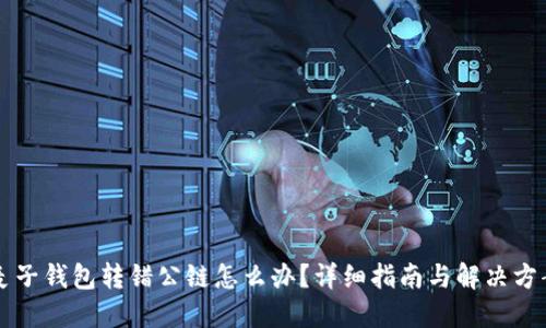 麦子钱包转错公链怎么办？详细指南与解决方案