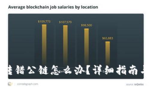 麦子钱包转错公链怎么办？详细指南与解决方案
