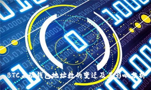 BTC未动钱包地址数的变迁及其影响分析