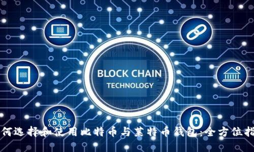 如何选择和使用比特币与莱特币钱包：全方位指南