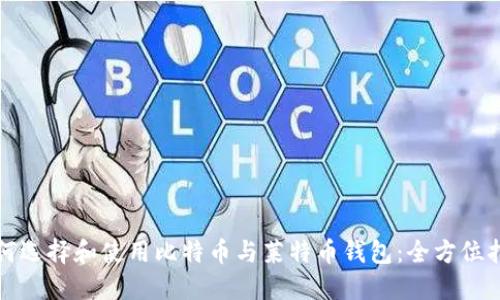 如何选择和使用比特币与莱特币钱包：全方位指南