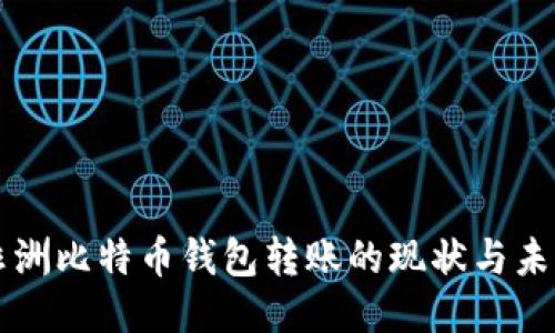 非洲比特币钱包转账的现状与未来