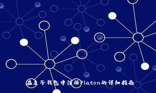  在麦子钱包中注册Platon的详细指南