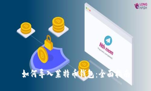 如何导入莱特币钱包：全面指南