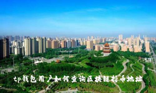 tp钱包用户如何查询区块链持币地址
