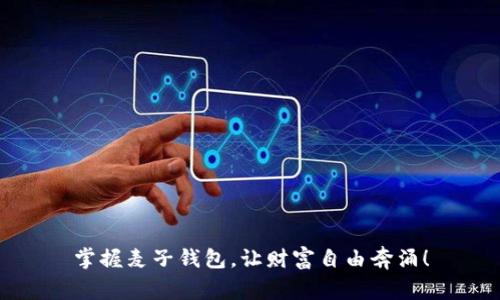 掌握麦子钱包，让财富自由奔涌！