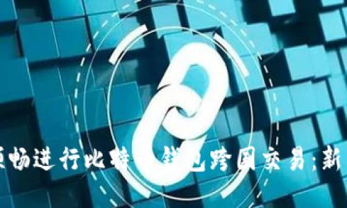 如何顺畅进行比特币钱包跨国交易：新手指南