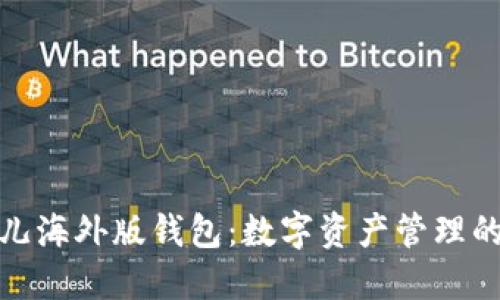 探索比特儿海外版钱包：数字资产管理的全新选择