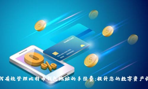 如何有效管理比特币钱包地址的手续费：提升您的数字资产收益