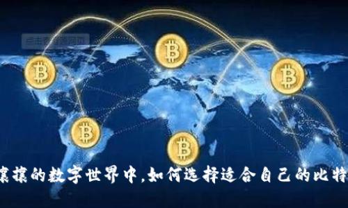 在熙熙攘攘的数字世界中，如何选择适合自己的比特币钱包？