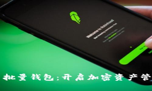 掌握比特币批量钱包：开启加密资产管理的新纪元