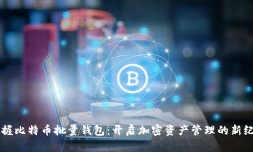 掌握比特币批量钱包：开启加密资产管理的新纪元