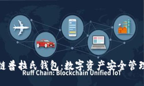 探秘区块链普拉氏钱包：数字资产安全管理的新选择