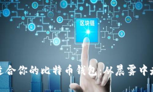 如何选择最适合你的比特币钱包：从晨雾中走向加密财富