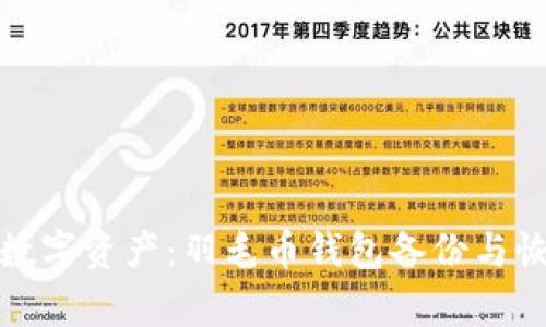 保护你的数字资产：羽毛币钱包备份与恢复全攻略