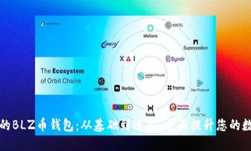 如何安全管理您的BLZ币钱包：从基础到进阶，全面提升您的数字货币安全意识
