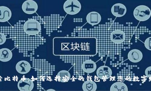探索比特币：如何选择安全的钱包管理您的数字财富