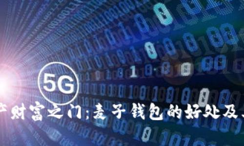 解锁数字资产财富之门：麦子钱包的好处及其革命性应用
