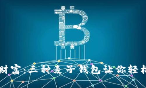 掌控你的财富：三种麦子钱包让你轻松管理资产