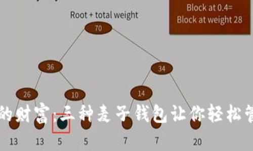 掌控你的财富：三种麦子钱包让你轻松管理资产