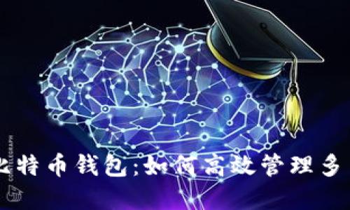 掌握比特币钱包：如何高效管理多笔交易