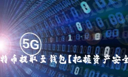 内容

为何将比特币提取至钱包？把握资产安全的每一步