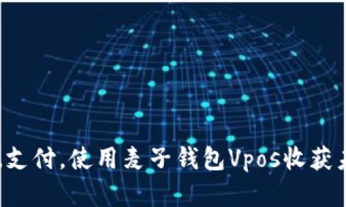 颠覆传统支付，使用麦子钱包Vpos收获未来财富！