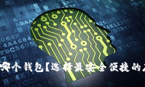 达世币存哪个钱包？选择最安全便捷的存储方案！
