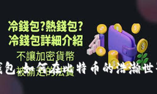: 不再依赖钱包，如何在比特币的浩瀚世界中创造财富
