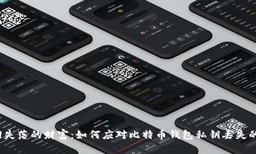  找回失落的财富：如何应对比特币钱包私钥丢失的挑战