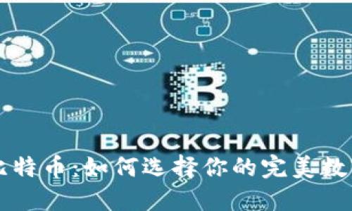 掌握比特币：如何选择你的完美数字钱包