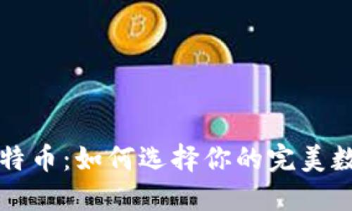 掌握比特币：如何选择你的完美数字钱包