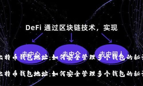 比特币钱包地址：如何安全管理多个钱包的秘诀

比特币钱包地址：如何安全管理多个钱包的秘诀