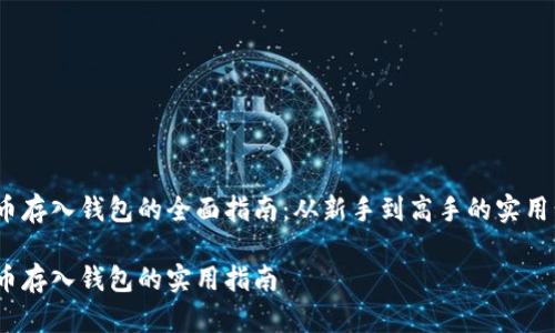 比特币存入钱包的全面指南：从新手到高手的实用步骤 

比特币存入钱包的实用指南
