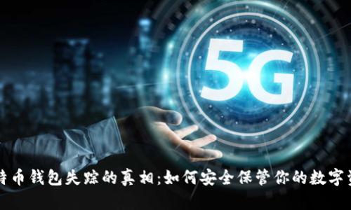 比特币钱包失踪的真相：如何安全保管你的数字资产