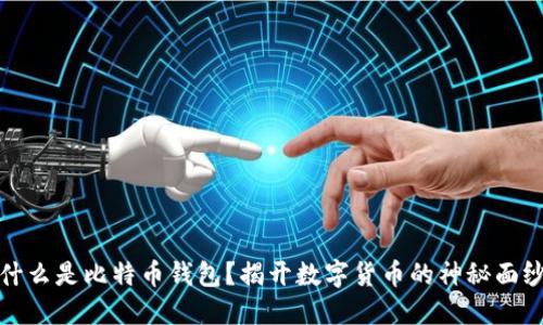 什么是比特币钱包？揭开数字货币的神秘面纱
