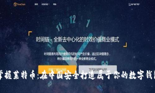 掌握莱特币：在中国安全打造属于你的数字钱包