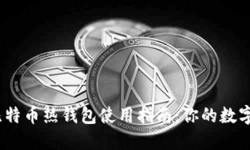 高效、安全的比特币热钱包使用指南：你的数字资产守护之道